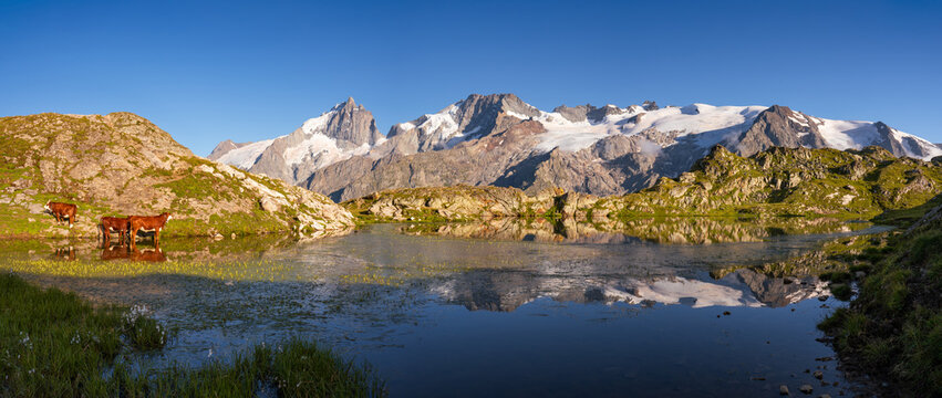 Lerie Lake in the Oisans Massif with panoramic view of La Meije peak in Ecrins National Park at sunset. GR 54 hiking trail on Emparis Plateau. Hautes-Alpes, Alps, France