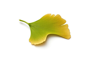Naklejka premium Ginkgo leaf isolated created with Generative AI technology