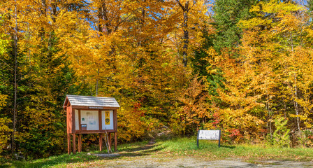Autumn colors at the Big Moose Mountain trailhead - near Moosehead Lake and Greenville, Maine