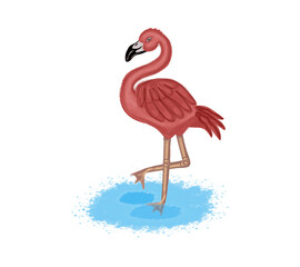Flamingo in the water, cartoon character, color drawing, on a transparent background