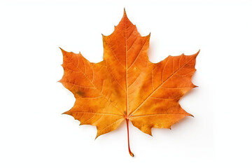 Fototapeta premium red Maple leaf created with Generative AI technology