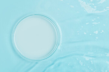 Petri dish empty against the background of blue water