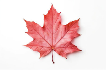 Naklejka na ściany i meble red Maple leaf created with Generative AI technology