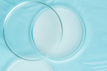 Set of laboratory utensils empty Petri dish, flasks, jars on the background of blue water