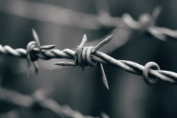 Close-up shot of barbed wire in shades of gray