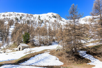 Fototapeta na wymiar A scenic view of a winter landscape in the mountains with a chapel and some pine trees under a majestic blue sky
