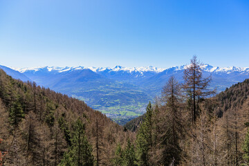 A scenic view of a moutain village accross pine trees