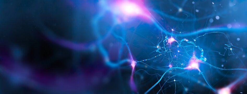 Neural network of the brain, high resolution 3d illustration