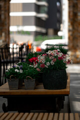Fototapeta na wymiar flowers on the table