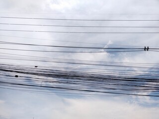 Sky with electric line 