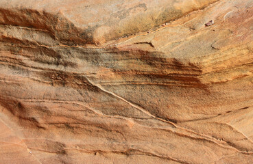 Brown texture of sandstone - Valley of Fire State Park, Nevada