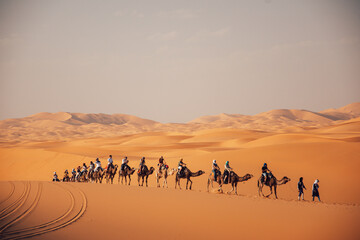 camel caravan in desert