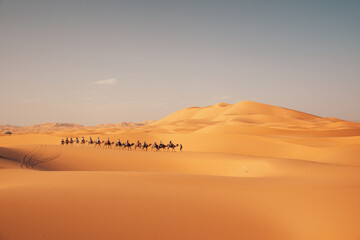 camel caravan in desert