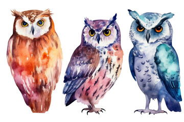 Watercolor drawing of animal Owl portrait with colorful hundreds of different colors paint isolated on clear png background, with Generative AI.