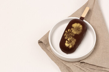 Natural ice cream popsicle ice cream in chocolate, open space