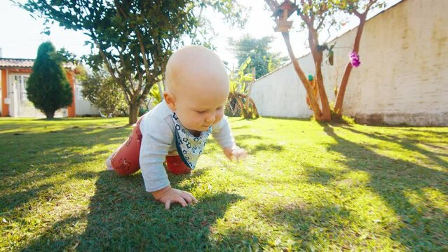Infant baby crawls in the sunny garden with green grass and trees