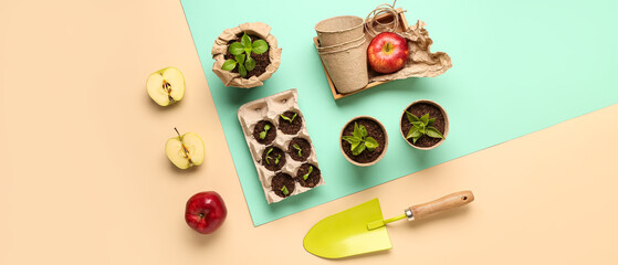 Peat pots with green seedlings, apples and gardening shovel on color background