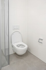 White toilet bowl near light wall in room