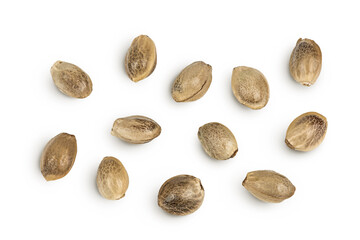 Hemp seeds isolated on white background with full depth of field. Top view. Flat lay