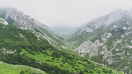 Landscape of a green valley in the mountains on a cloudy day