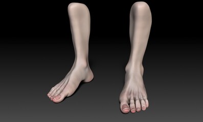 Female Foot Sculpt pose render of background. 3d rendering