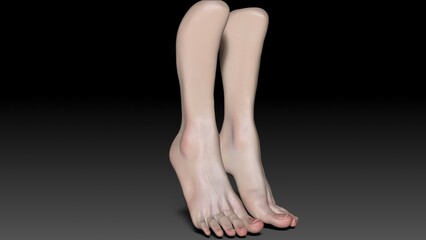 Female Foot Sculpt 3d render of background. 3d rendering
