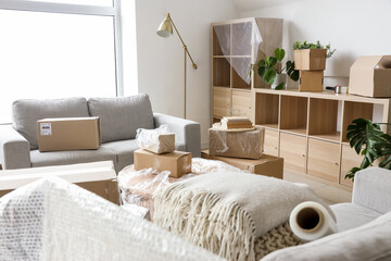 Cardboard boxes with sofas and shelving unit in living room on moving day