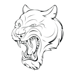Puma. Vector illustration of a sketch cougar. Roaring american mountain lion wild cat head. Sport team puma mascot, mountain lion animal