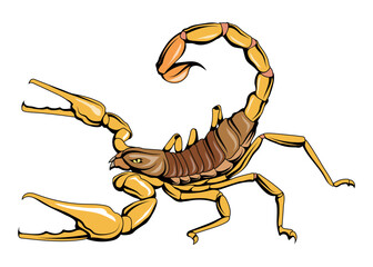 Scorpio. Vector illustration of a astrology Zodiac horoscope. Formidable tentacles with claws, a sharp poisonous sting at the tip of the tail