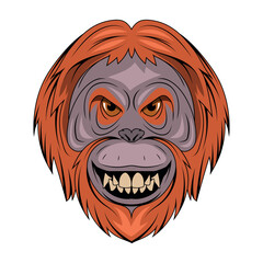 Orang-utan. Vector illustration of a monkey face. Portrait wild animal in zoo.
