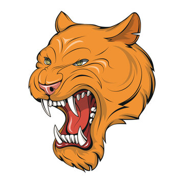 Puma. Vector illustration of a cougar. Roaring american mountain lion wild cat head. Sport team puma mascot, mountain lion animal