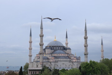 Fototapeta na wymiar The Blue Mosque in Istanbul
