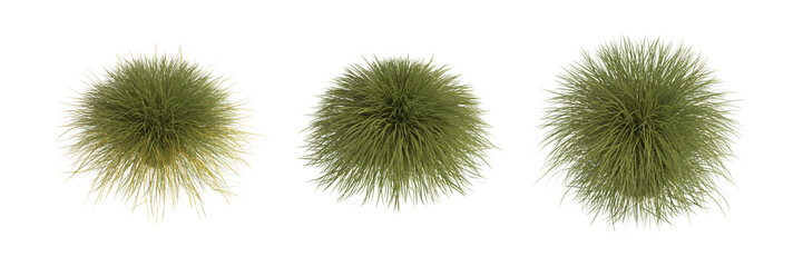 Set of isolated fluffy grass bushes. 3d render