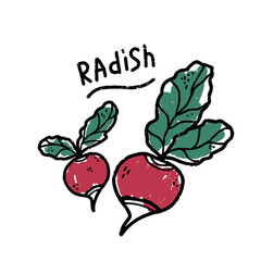 Set radish. Black grunge stroke outline and color faded spots, old paint effect. Element for design