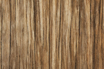 Wooden texture brown plate. Vector background.