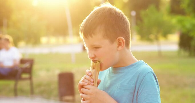 Child boy eats a hot-dog sandwich the park at sunset outdoors