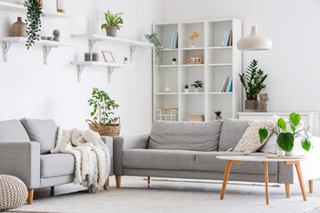 Interior of light living room with grey sofas, coffee table and houseplants
