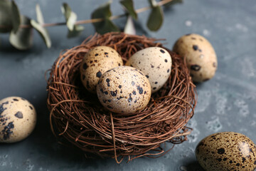 Nest with fresh quail eggs on blue background