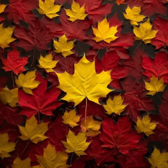 Naklejka na ściany i meble Maple leaves background. Canada Day