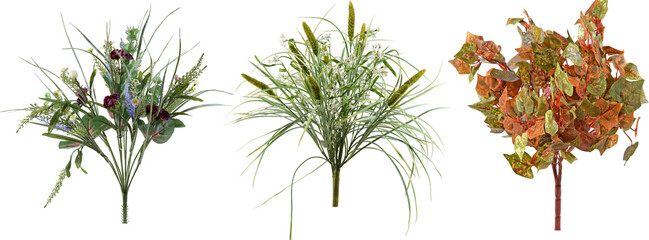 set of plants on transparent background
