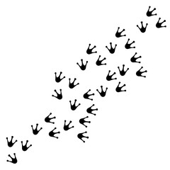 set of silhouettes of birds, duck paw