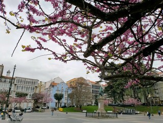 Ferrol, Galicia