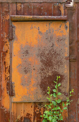 Iron old closed window of a rusty shipping container close up