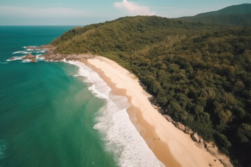 Aerial view of a long and winding sandy beach with lush green forests on one side and turquoise blue ocean on the other, generative ai