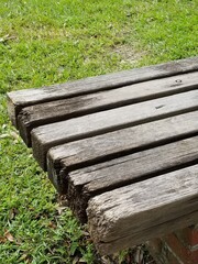 Fototapeta premium wooden bench in the park