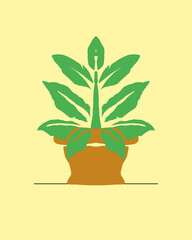 Plant in a pot vector illustration 
