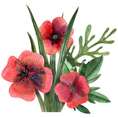 Seamless pattern with papaver poppy flowers