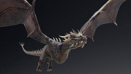 Wyvern type Dragon pose render of background. 3d rendering