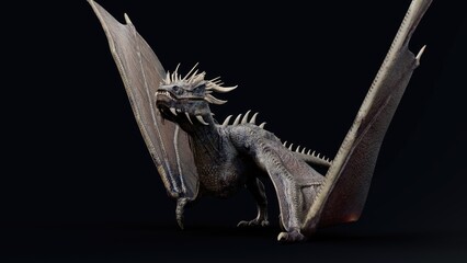 Fototapeta premium Wyvern type Dragon pose render of background. 3d rendering