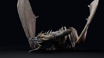 Wyvern type Dragon pose render of background. 3d rendering